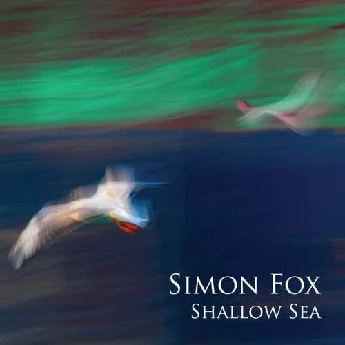 Shallow Sea album cover